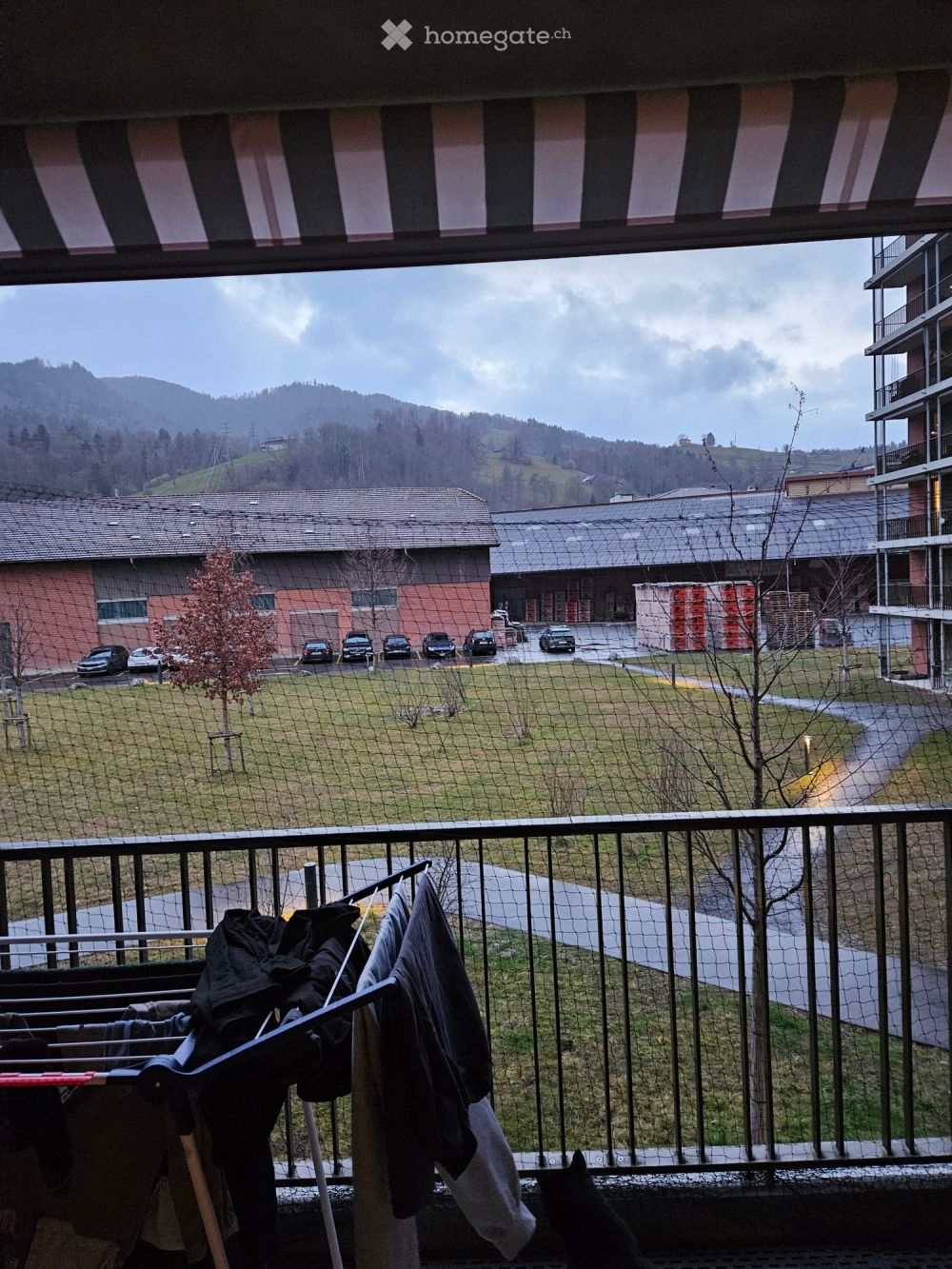 Wg mitbewohnerin per 28.02.26 gesucht - Bild 1