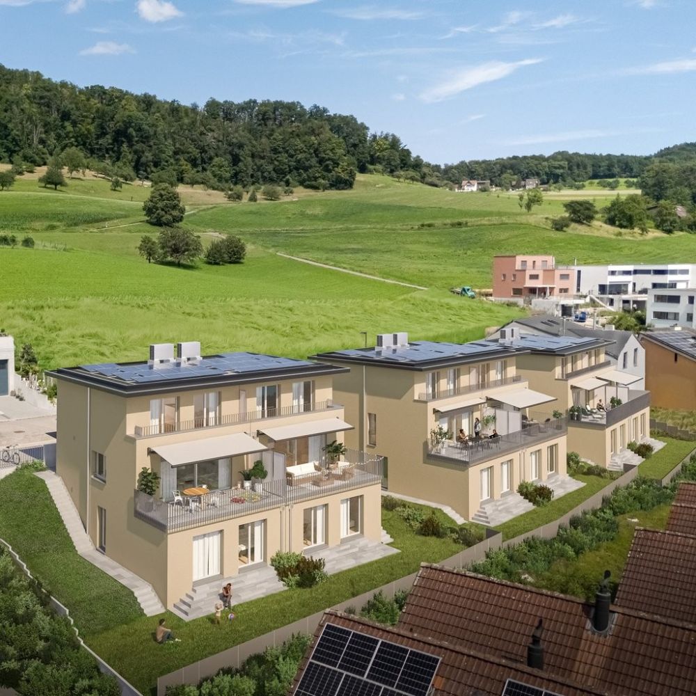 ERSTVERMIETUNG 6.5-Zi.-Reiheneinfamilienhaus mit Carport - obererchrueziweg_Aussen_Vogelperspektive_Fenster_neu_quadrat.jpg