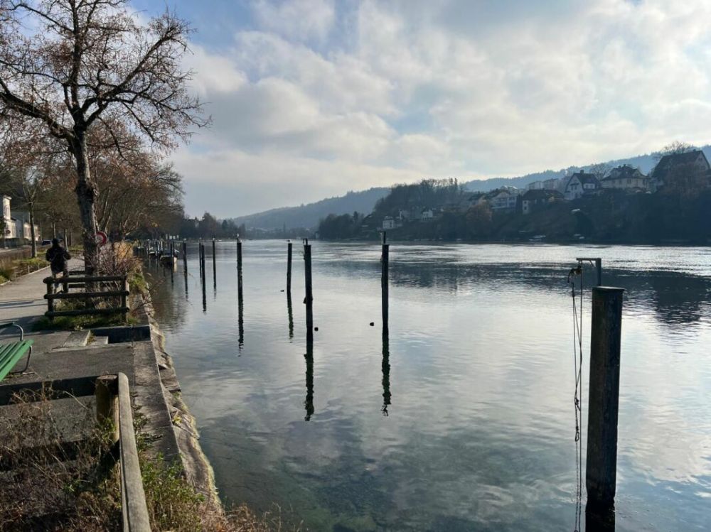 Sonniges Studio mit direktem Rheinblick - Bild 4