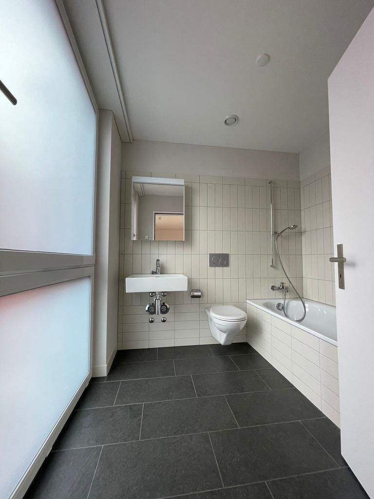 Attraktive 4.5 Zimmer-Neubauwohnung an ruhiger Lage - Bild 8