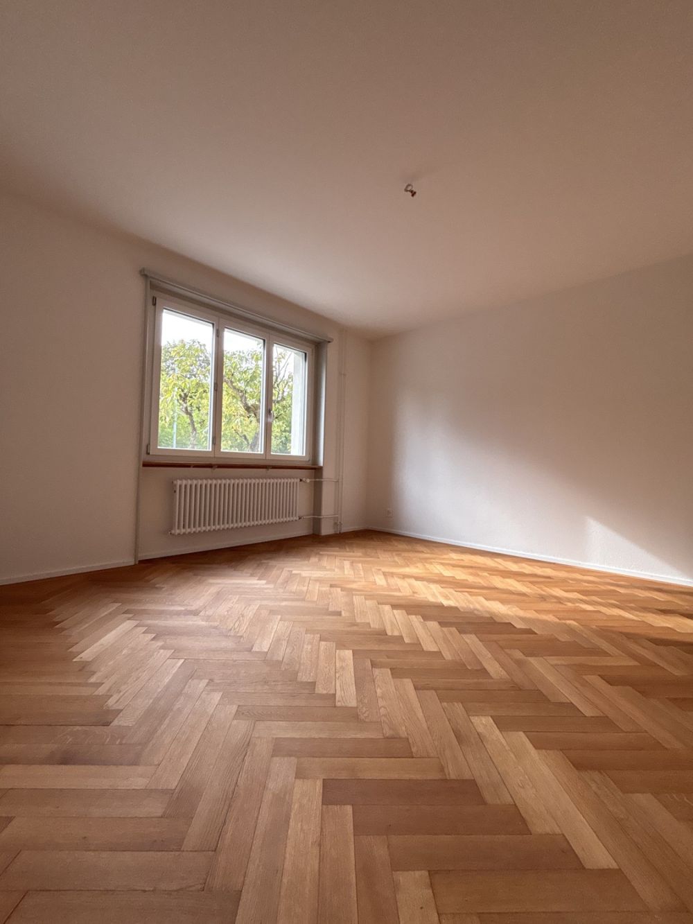 Erstvermietung nach Sanierung in Bern - Bild 12
