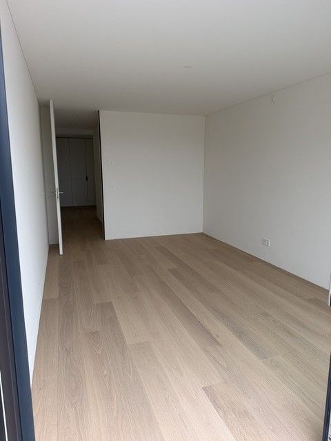 Erstvermietung top ausgebaute Attika im steuergünstigen Zofingen - Bild 10