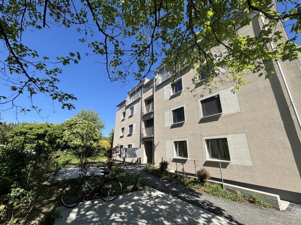 Erstbezug: frisch sanierte Wohnung an ruhiger Quartierstrasse - Bild 1