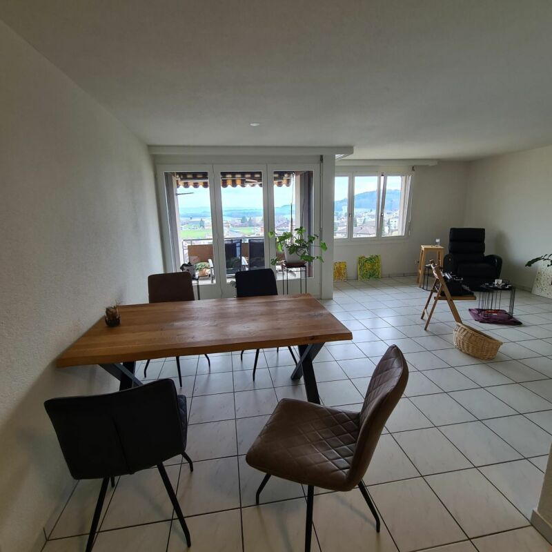 Grosse, helle 3.5 Zi-Wohnung 95m2 - image/jpeg