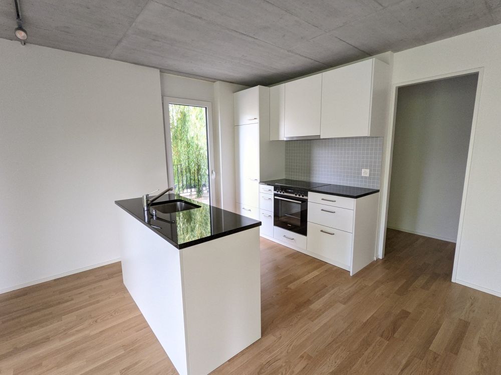 Top moderne 3,5-ZWG mit Waschturm, Terrasse (11m²) an der St. Jakob-Str. 110, Muttenz - Bild 1