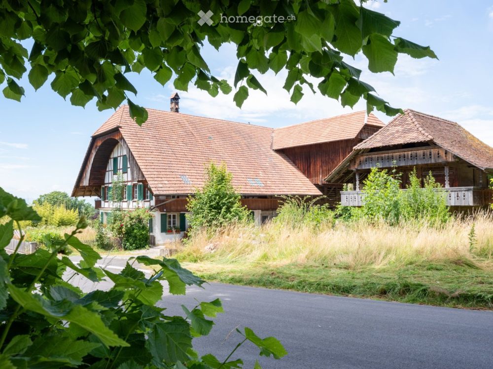Neue moderne 2.5 Zi. Wohnung mit Charme in Bauernhaus im EG - Bild 1