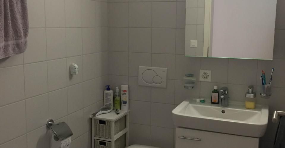 Au cœur de Fribourg, cadre verdoyant et calme - Appartement - image - 13