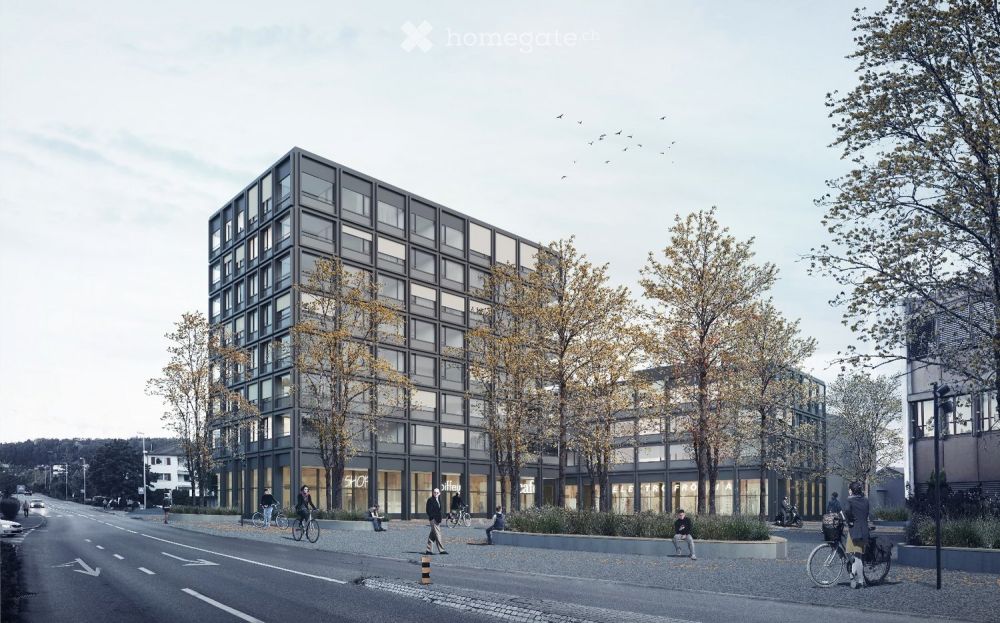 Moderne 4.5-Zimmer-Neubau-Wohnung mit Bergblick in Rudolfstetten-Friedlisberg - Bild 1