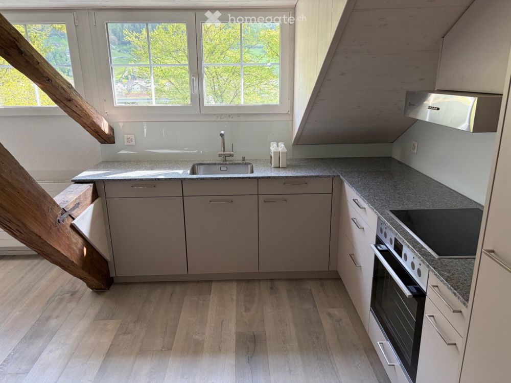 Charmante 2-Zimmer-Dachwohnung in Glarus mit eigener Terasse - Bild 4