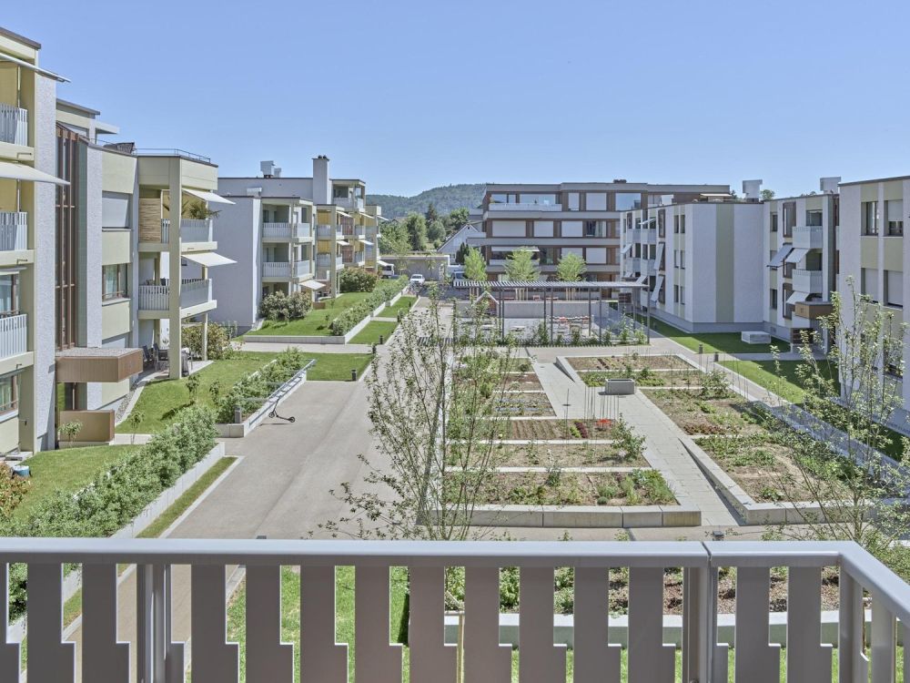 2.5 Zimmerwohnung in Embrach - Bild 3