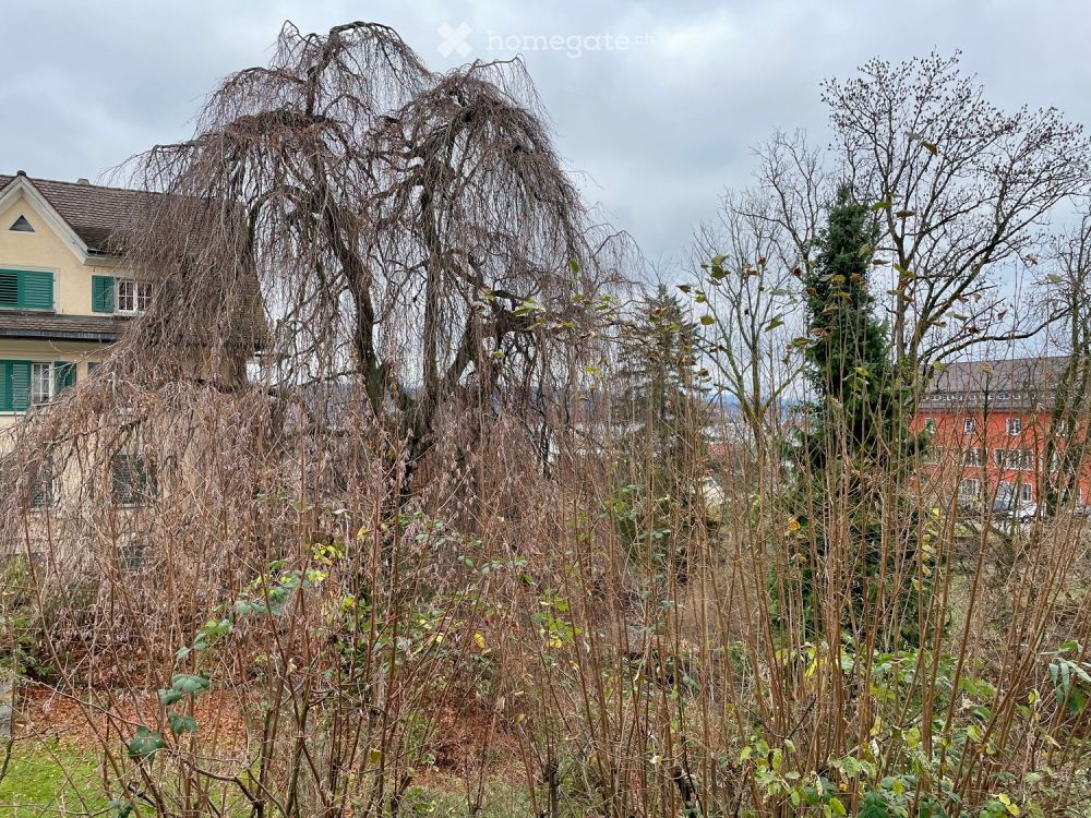 Erstvermietung nach Umbau - Bild 13