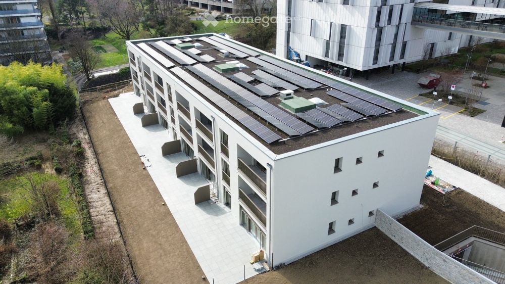 Mise en location d'un immeuble neuf - https://grand-morillon.ch - Bild 1