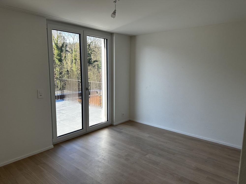 Erstvermietung - traumhafte 5.5-Zimmer-Attikawohnung mit grosser Terrasse und Blick ins Grüne - Bild 11