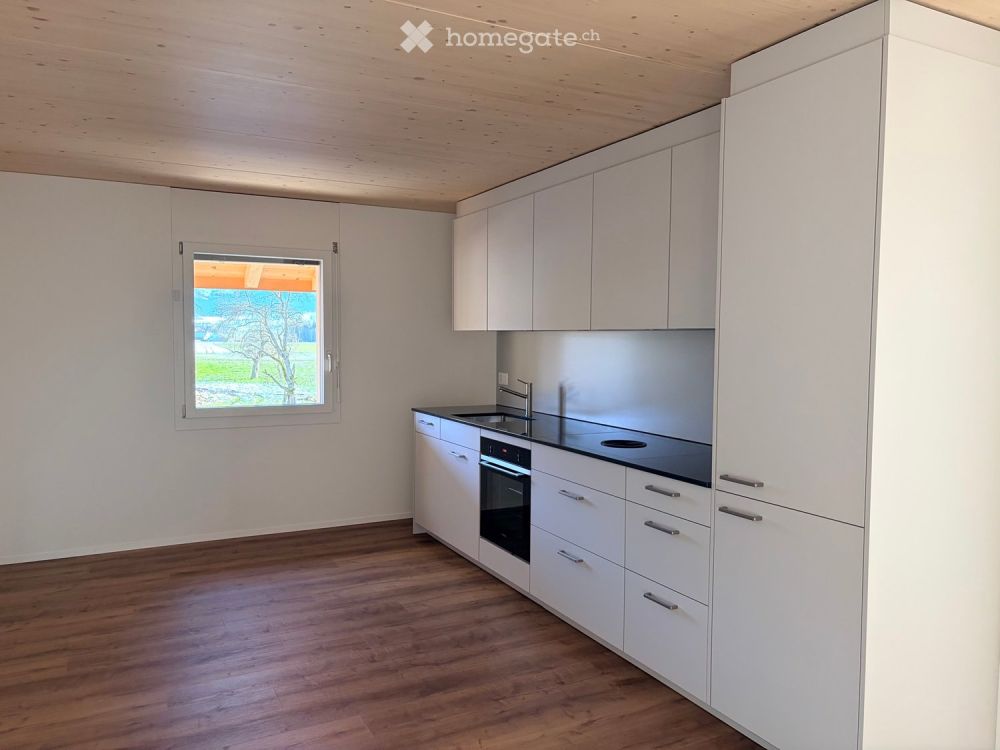 Erstvermietung: 2.5 Zimmerwohnung mit Aussicht - Bild 2