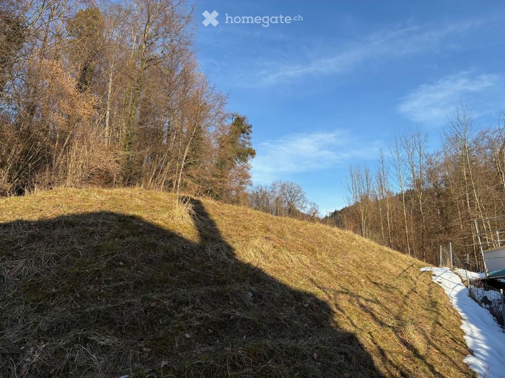 Charmante 2.5-Zimmer Maisonettewohnung mit Balkon an zentraler Lage in Hinwil - Bild 12