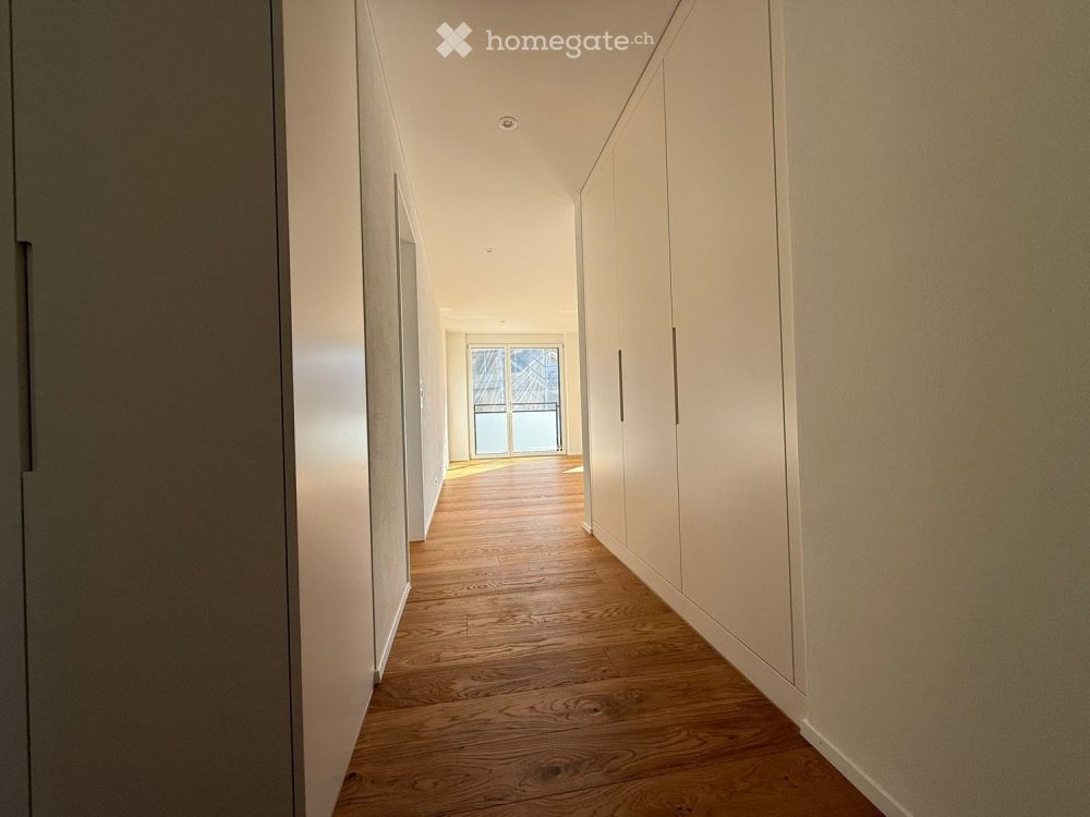 Moderne 3.5-Zimmer-Attikawohnung-Erstbezug in Hausen am Albis - Bild 3