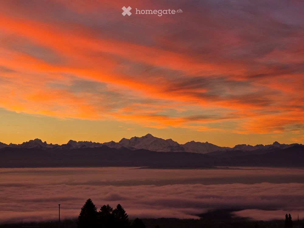 Magnifique appartement de 3.5 pièces avec balcon à Arzier-Le Muids - Bild 10