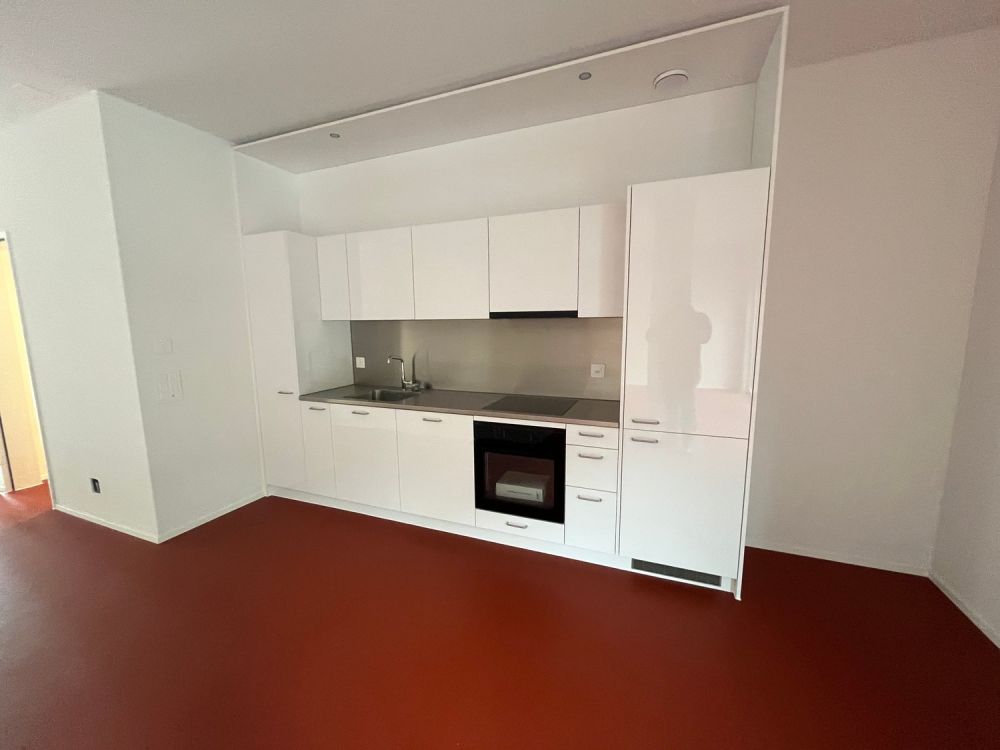Brandneue 2.5-Zimmer-Duplex-Loftwohnung an der Bernstrasse 58 in Luzern - Bild 2