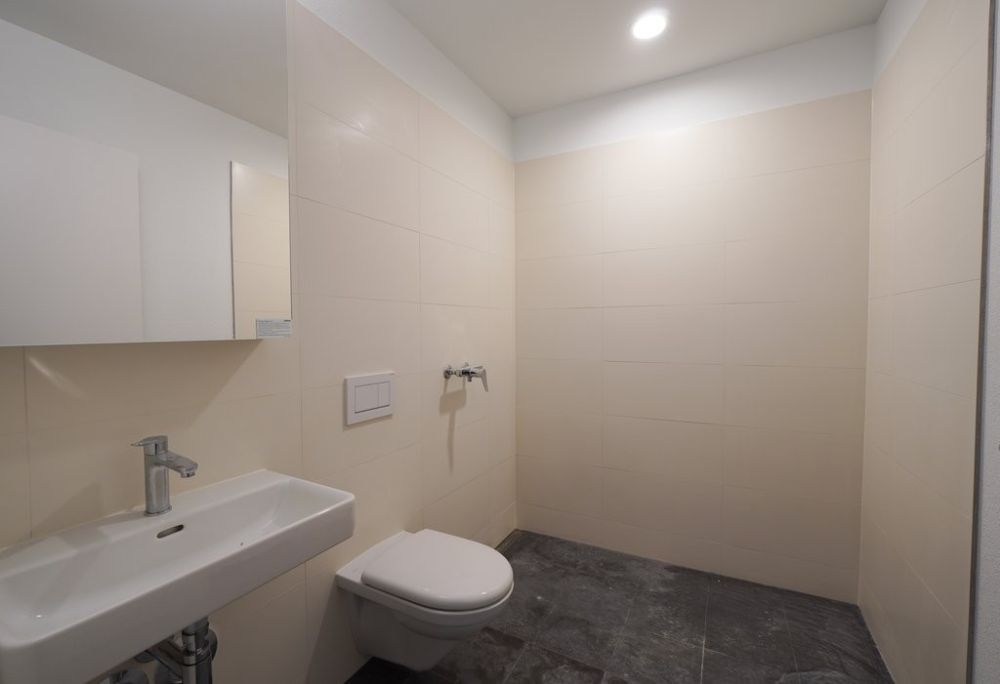 ERSTVERMIETUNG IN LIESTAL - jede Wohnung mit eigenem Waschturm - Dusche.jpg