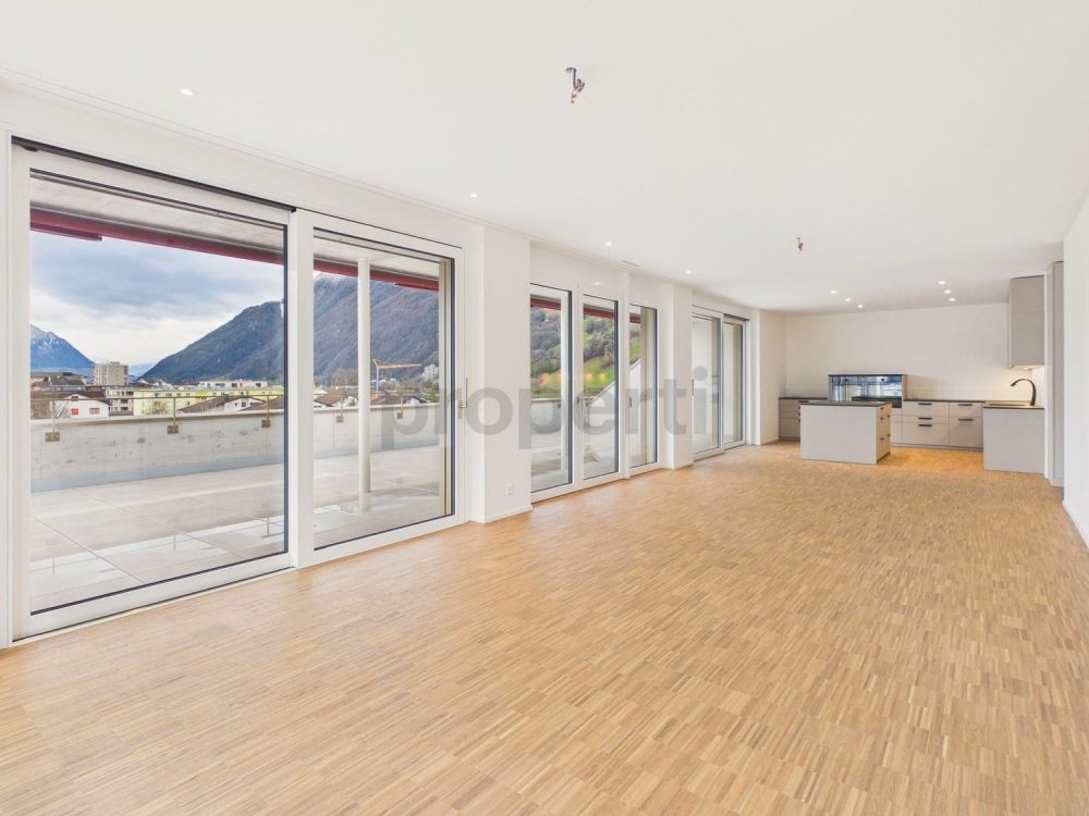 Moderne 4.5-Zimmer-Attikawohnung mit Balkon, Brunnen - Image 1