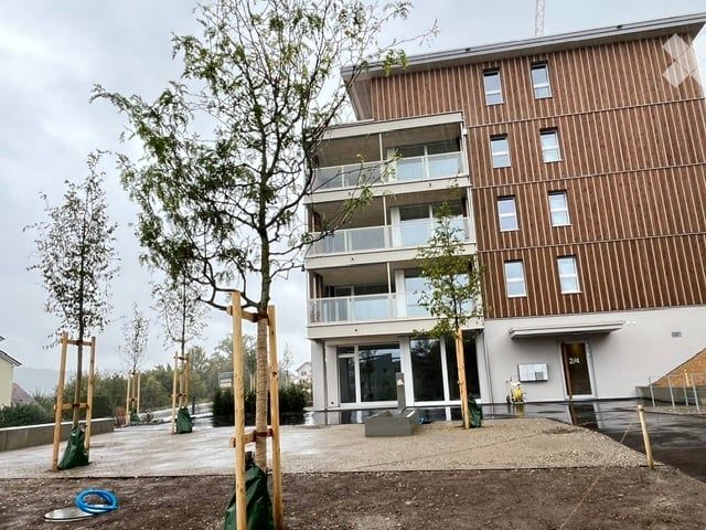 Attikawohnung in St. Erhard - Bild 1