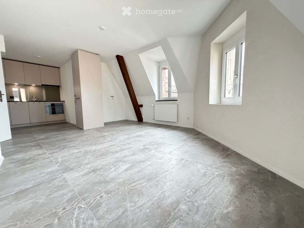 Neu renovierte, sehr gemütliche Dach-Wohnung in Zürich-West - Bild 3
