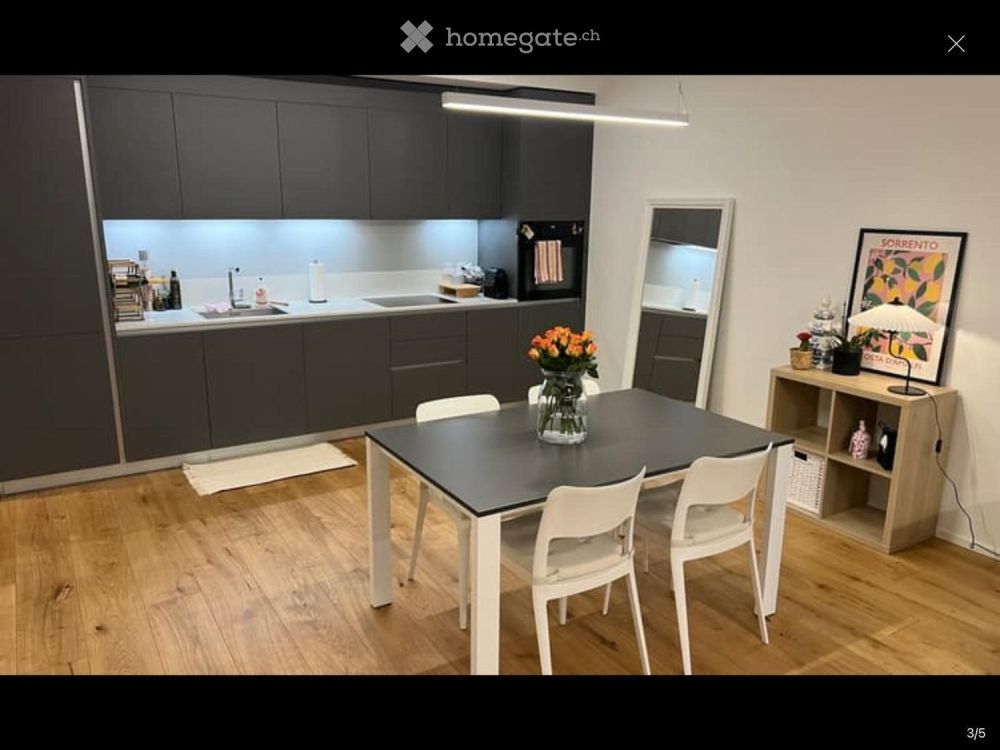 Moderno appartamento 2.5 locali arredato a Paradiso - Bild 2