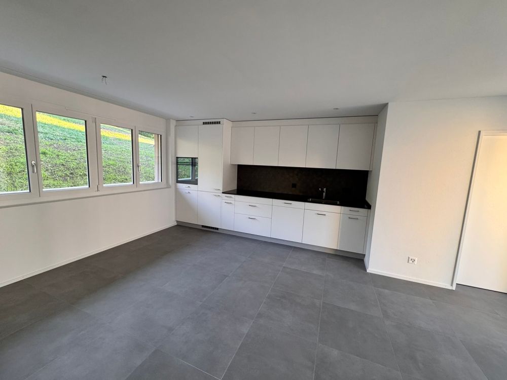 Erstvermietung 2 MFH Kirchweg 358 / 359 in Zullwil – Modern wohnen im Grünen - Bild 2
