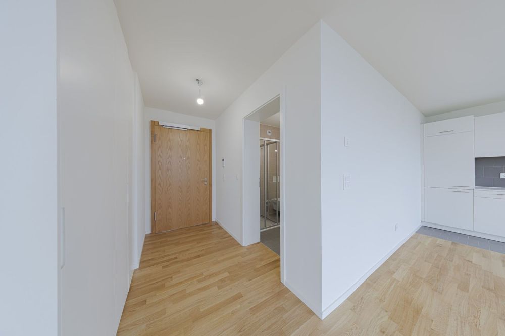 Magnificent 47 m² Studio mit Panoramablick auf den Genfersee - A10_19_1400_1.5-entree.jpg
