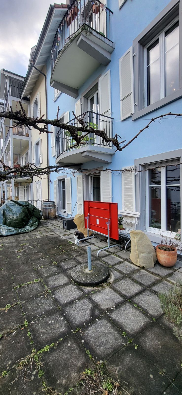 Moderne 2.5-Zimmer-Wohnung mit Terrasse im Hochparterre - Bild 3