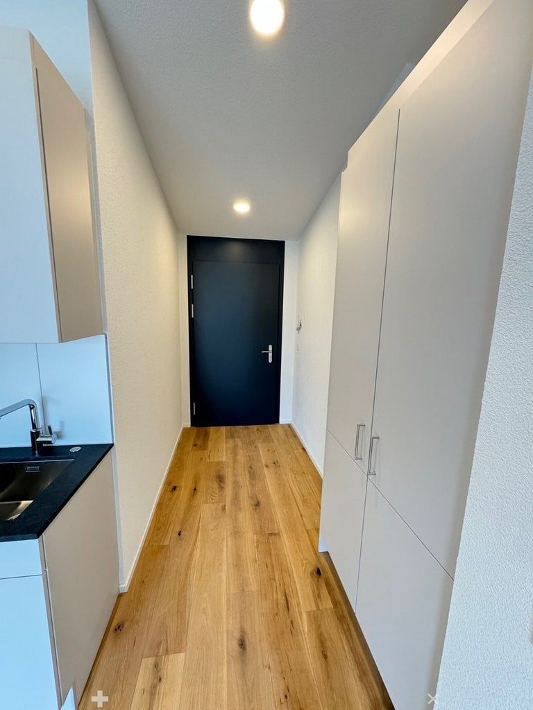 Modernes Wohnen im Neubau: 1.5-Zimmer-Wohnung mit Balkon im 3. OG - Eingangsbereich.jpg