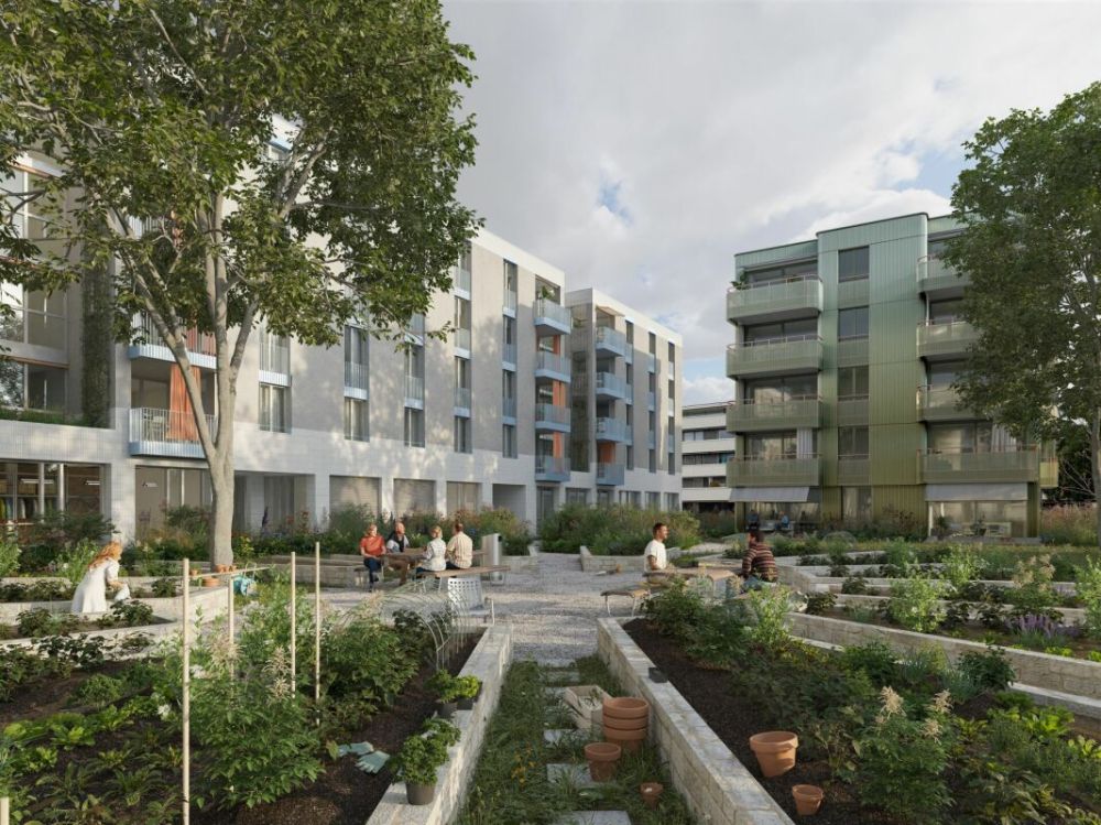 Neubau 3.5 Zimmerwohnung - Nachhaltig sowie modernes Wohnkonzept - Bild 2
