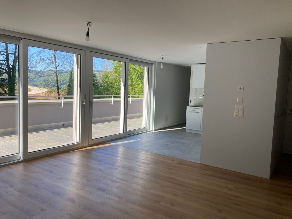 Moderne Terrassenwohnung mit Tiefgarage in Hitzkirch - Bild 2