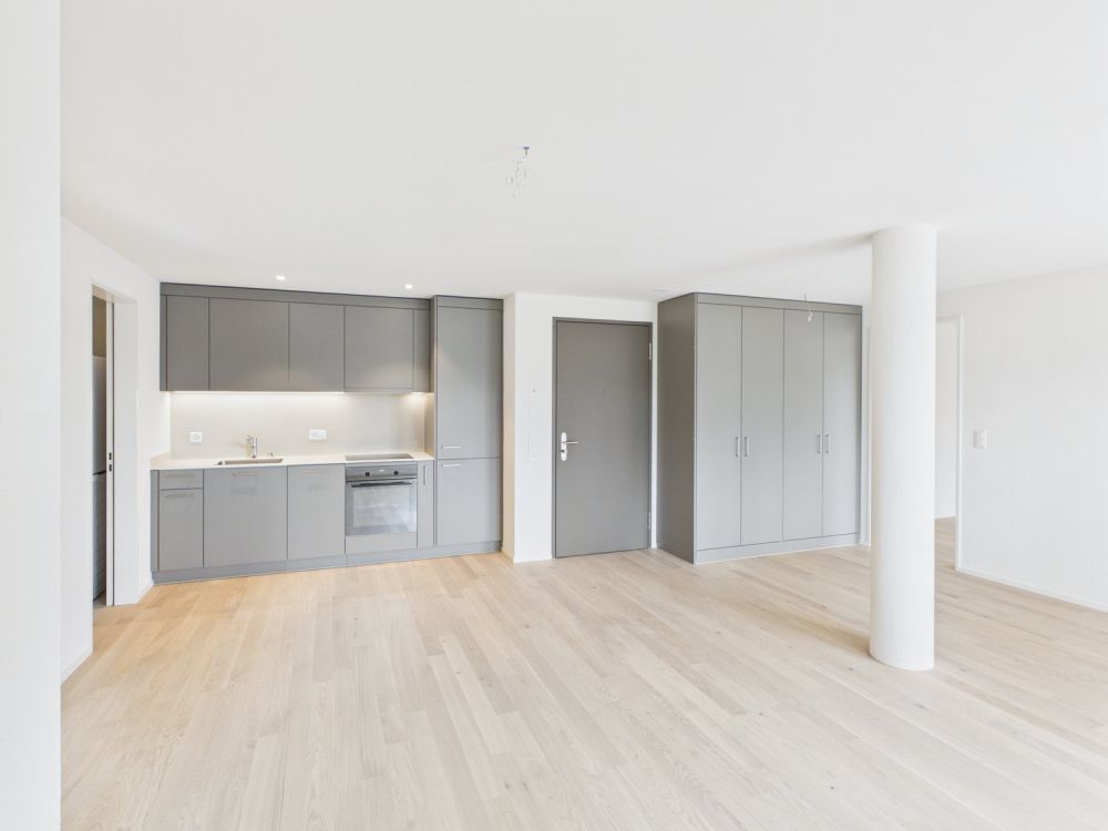 Erstbezug nach Kernsanierung – Moderne 3.5-Zimmerwohnungen mit hochwertigem Ausbaustandard - Bild 1