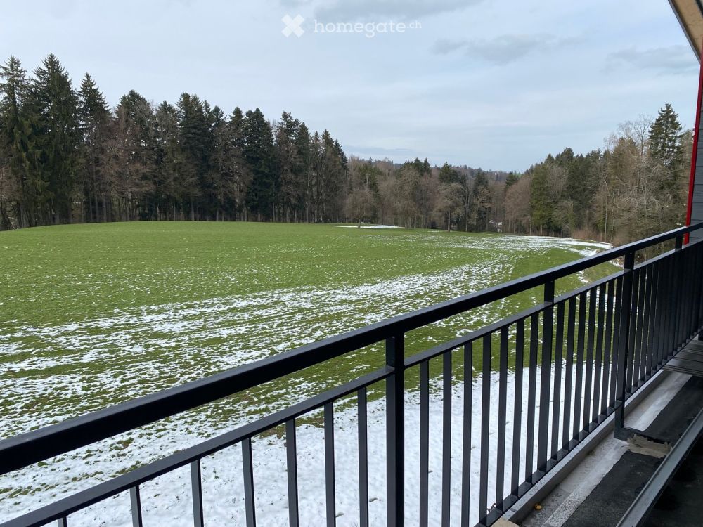 Einzigartige 3.5 Zimmer Whg am Dorfrand / NEUBAU Erstbezug - Bild 13