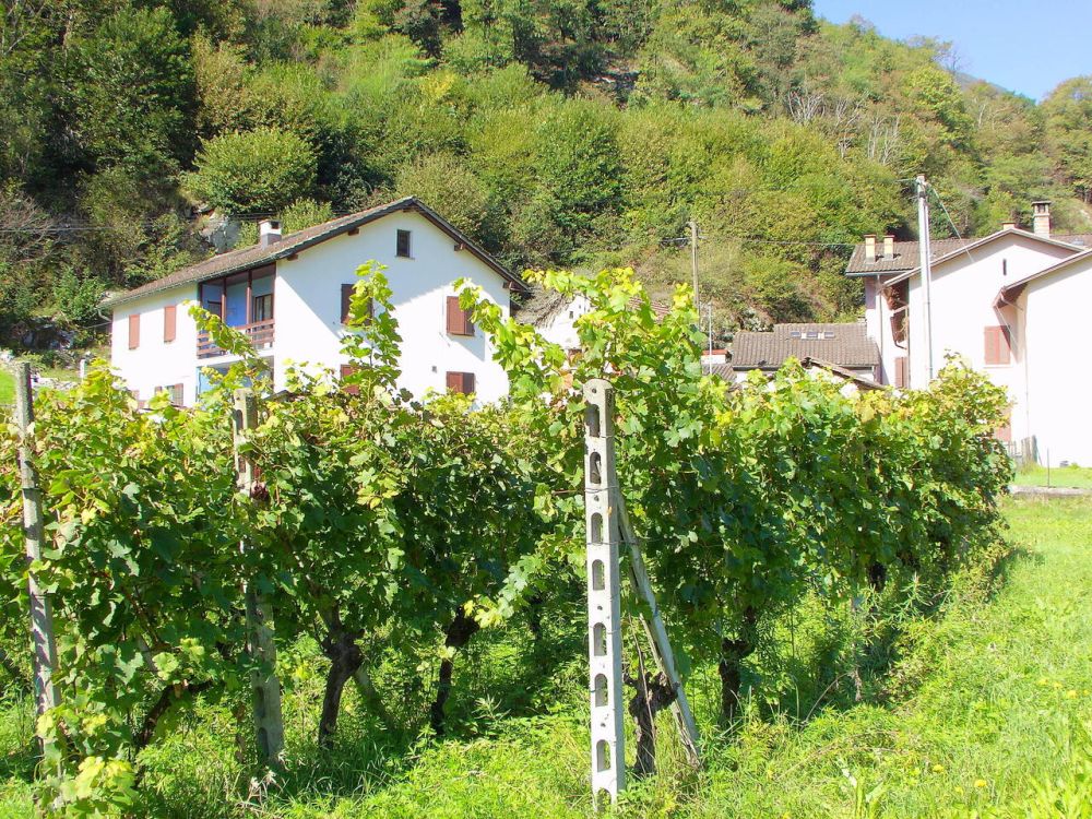 Genossenschaftliche Neubau-Siedlung mit 1½ - 3½ Zimmerwohnungen - Bild 8