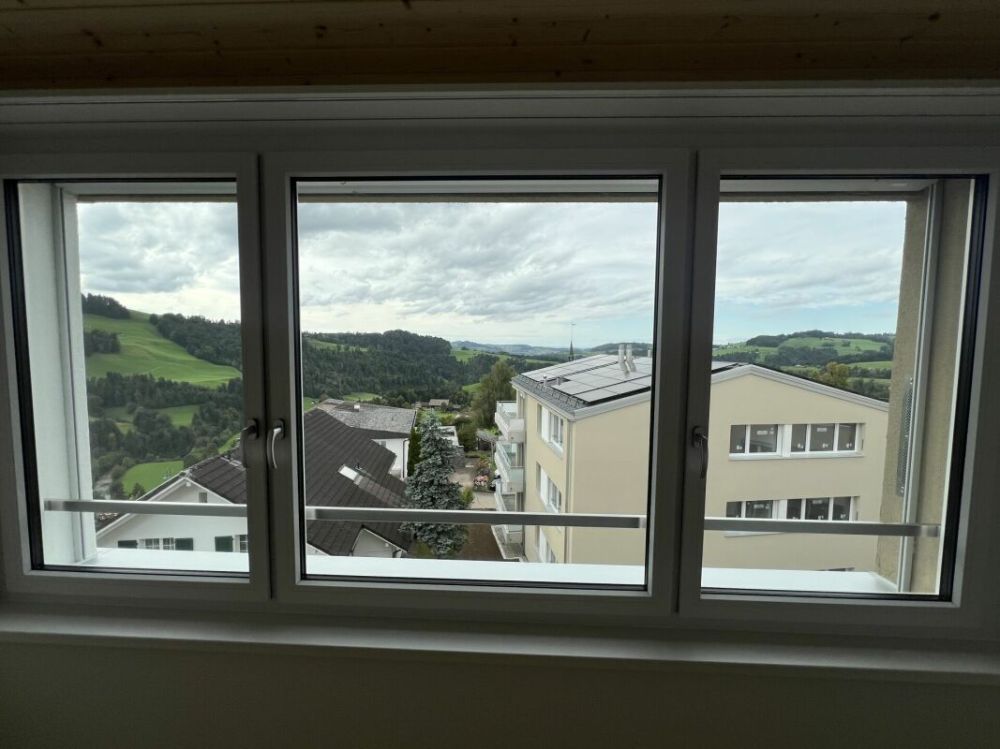 Grosse Dachwohnung mit traumhafter Aussicht - Bild 5