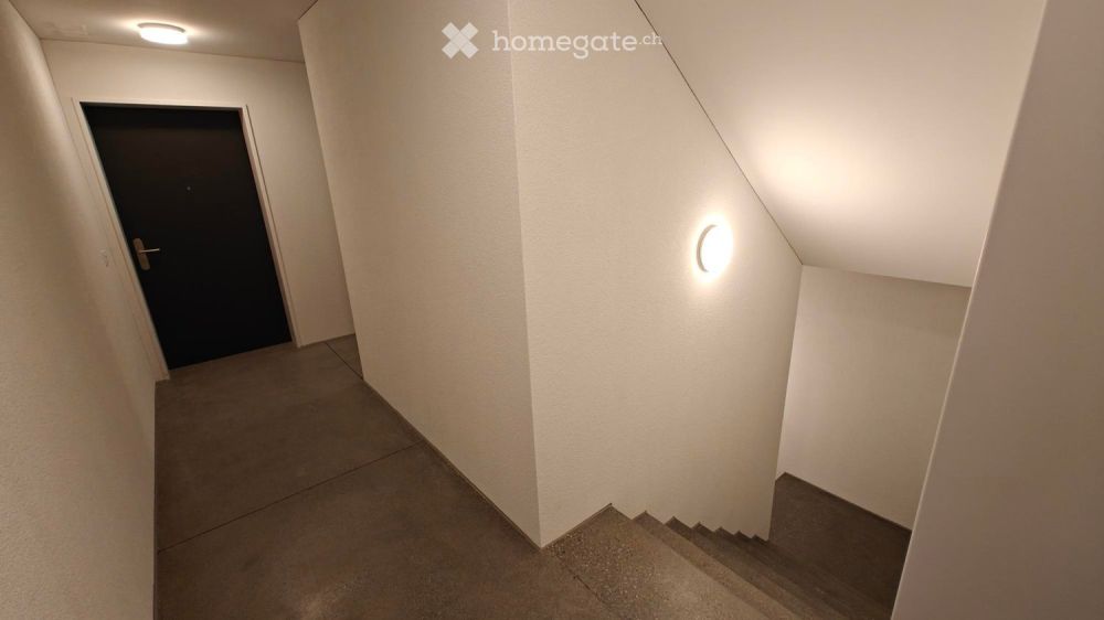 Erstvermietung von sehr grosszügigem Wohnraum an bester Zentrumslage (höchster Innenausbaustandard) - Bild 12