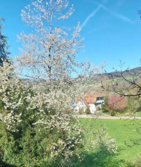 Einfamilienhaus mit Aussicht und grosszügigem Umschwung - Erstvermietung! - Bild 2