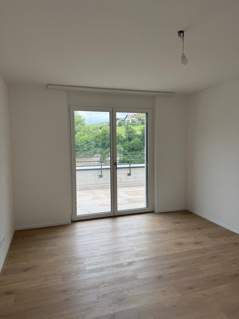 ERSTVERMIETUNG - exklusive Attikawohnung mit 3 Terrassen - Zimmer