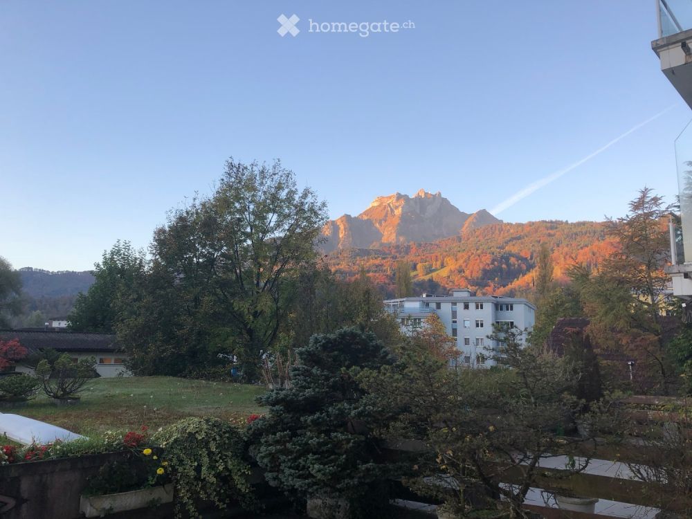 Beste Lage mit Pilatus und Seesicht - Bild 1
