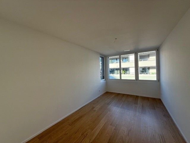 Neubau Wohnung in mitten von Aesch - SZ_1.jpg