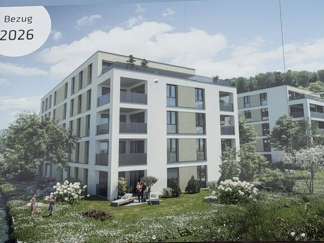 Erstvermietung top ausgebaute Attika im steuergünstigen Zofingen - Das Haus