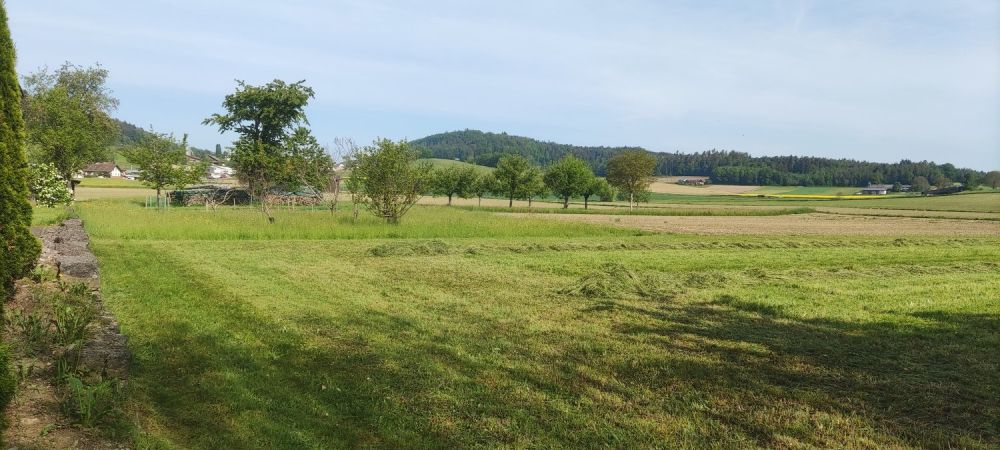 Neubauprojekt - Sechs Familienhäuser in Windlach ZH - Bild 3