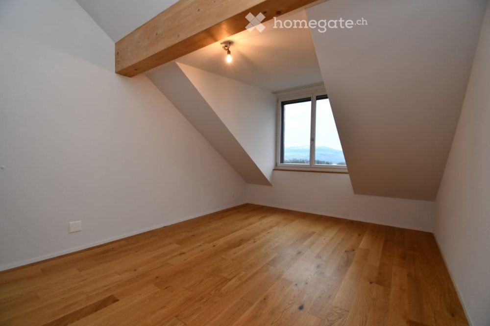 Neubau Mansarden zu vermieten! - DSC_4416