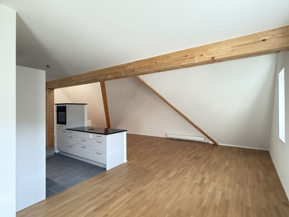 Neubau-Wohnung im historischen Schlossensemble, 20 Min. von Basel - Bild 6