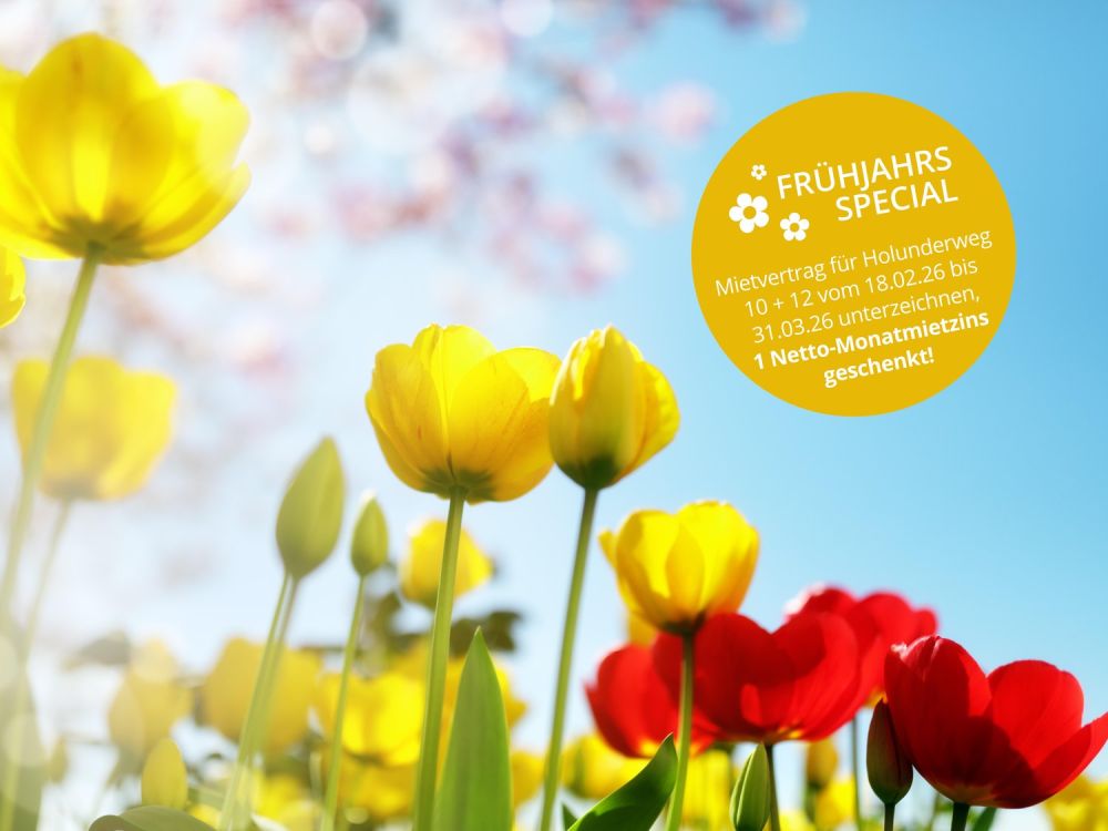 Wohntraum in Othmarsingen! - Bild 1