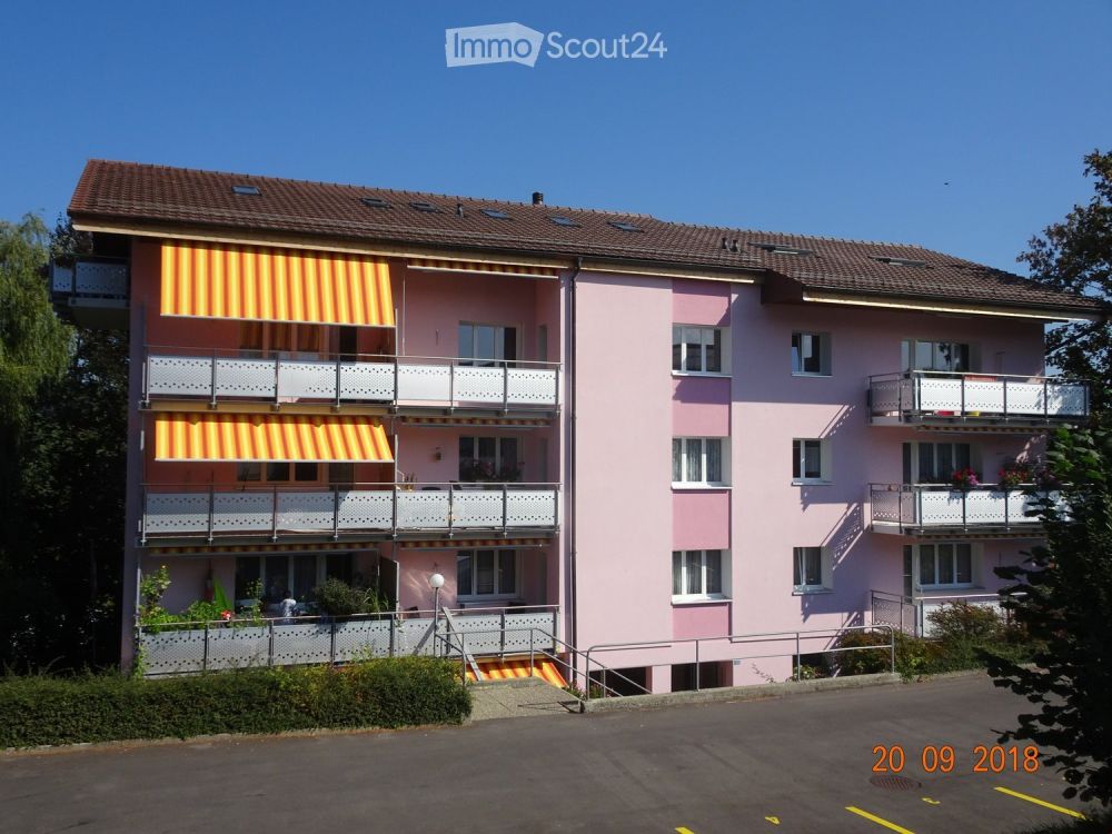 Modernisierte 41/2 Zimmer-Wohnung in total saniertem Mehrfamilienhaus - Bild 1