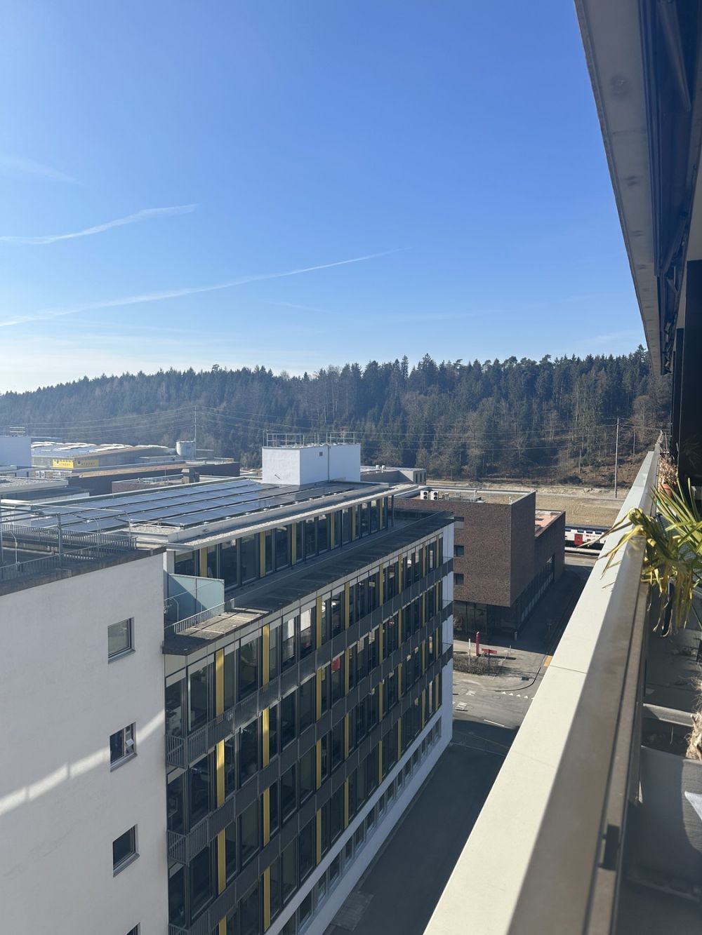Gemütliches WG Zimmer in zentraler Lage zu vermieten - Bild 8