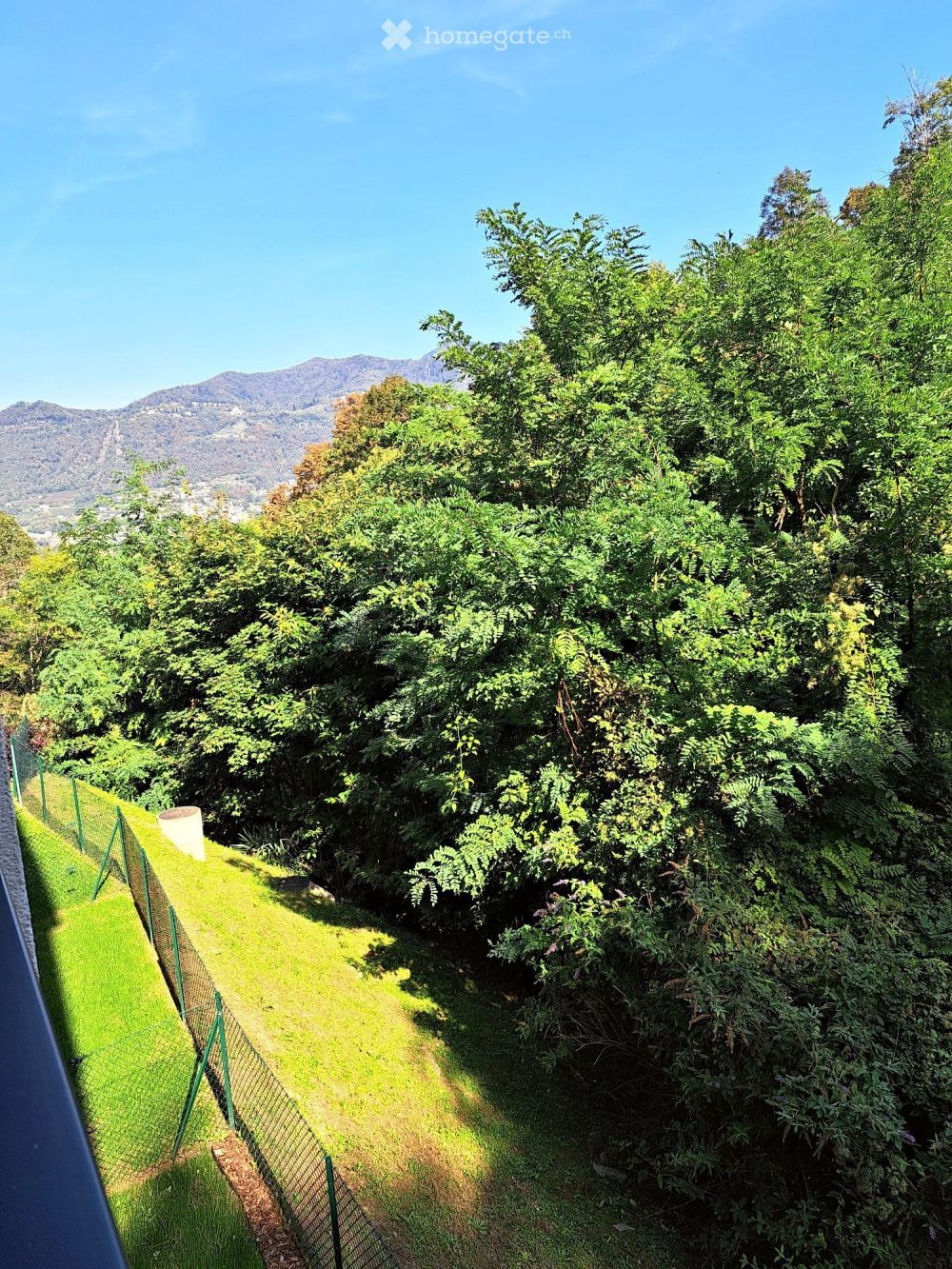 2.5 locali, terrazza coperta nel verde e box  Pedrinate - Bild 5